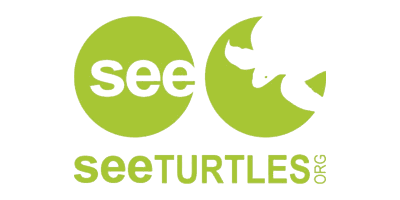 See Turtles